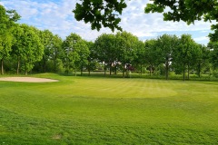 6. green
