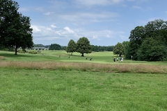 IMG-1137